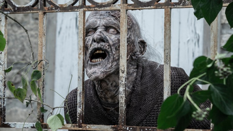 A zombie behind a fence in The Walking Dead: Daryl Dixon _ Season 2, Episode 4.